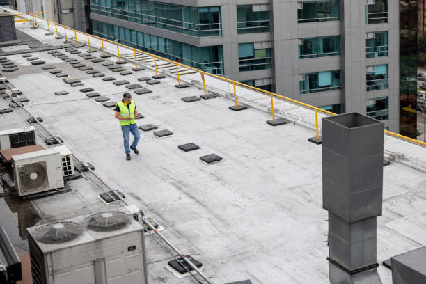 Best Roof Maintenance and Cleaning  in Island Park, NY
