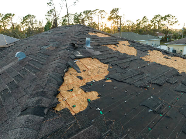 Best Solar Panel Roofing Installation  in Island Park, NY